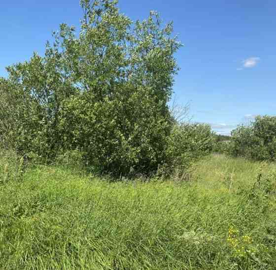 Земельный участок, 11.07 сотки Луховицы