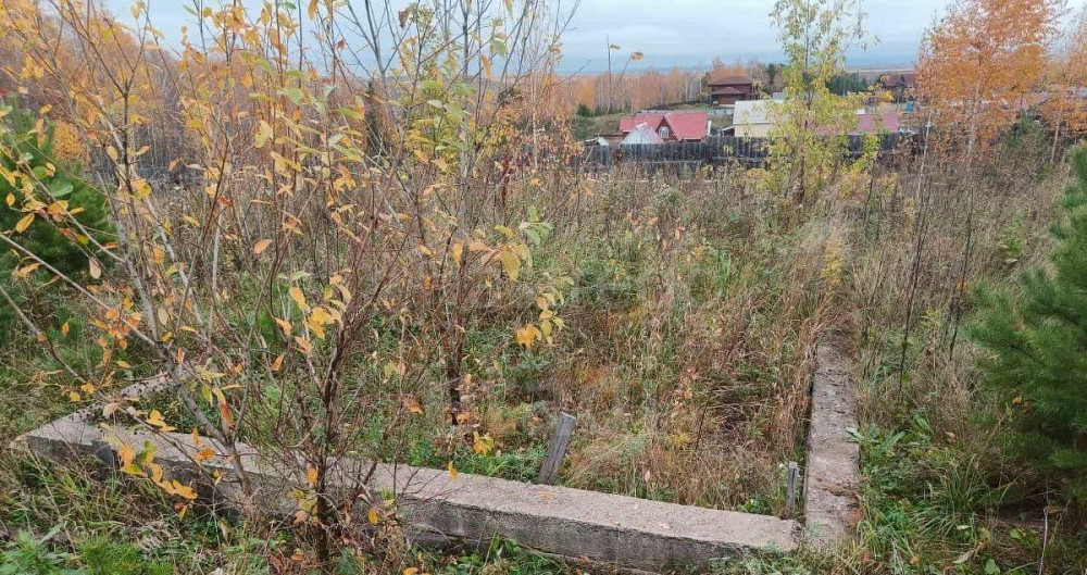 Земельный участок, 16.87 сотки Березовка - изображение 5