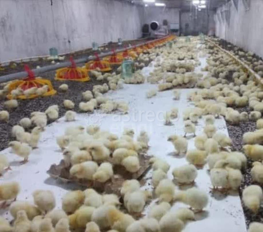 Коммерческий участок, Гиагинская - изображение 9