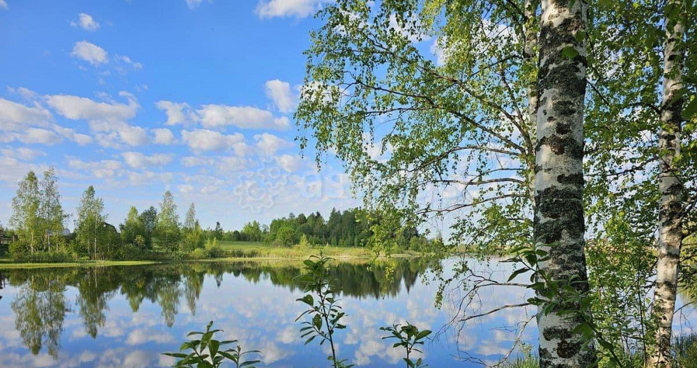 Земельный участок, 11.5 сотки Шаховская - изображение 1