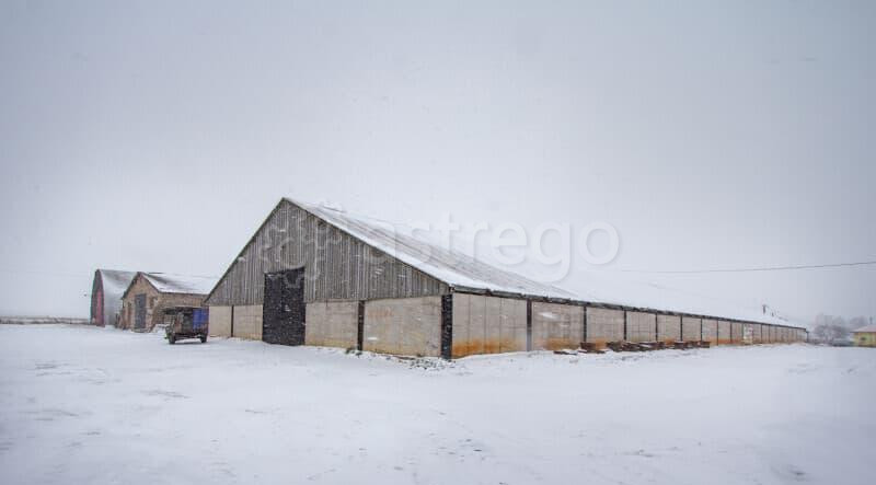 Производственное, 4252 м2 Кармаскалы - изображение 2