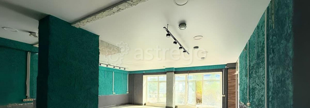 Торговое помещение, 110 м2 Санкт-Петербург - изображение 6