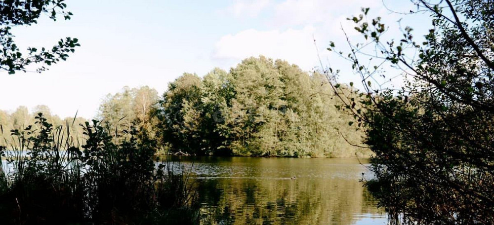 Дом, 980.3 м2, 12 соток, 4 эт. Санкт-Петербург - изображение 3