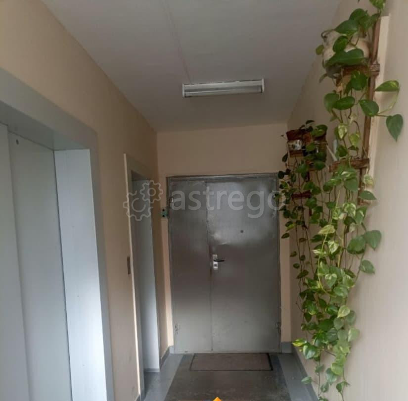 Комната, 14.3 м2, 13/14 эт. Москва - изображение 4