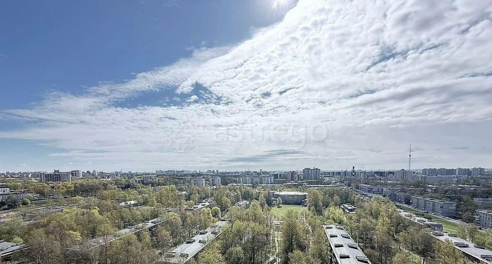 4-комн. квартира, 160 м2, 19/19 эт. Санкт-Петербург - изображение 6