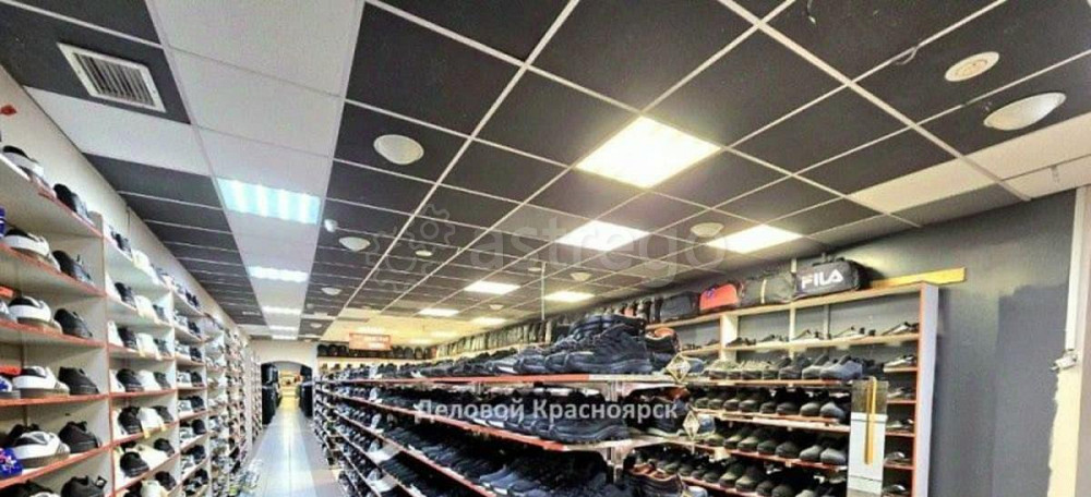 Готовый бизнес, 538 м2 Красноярск - изображение 5