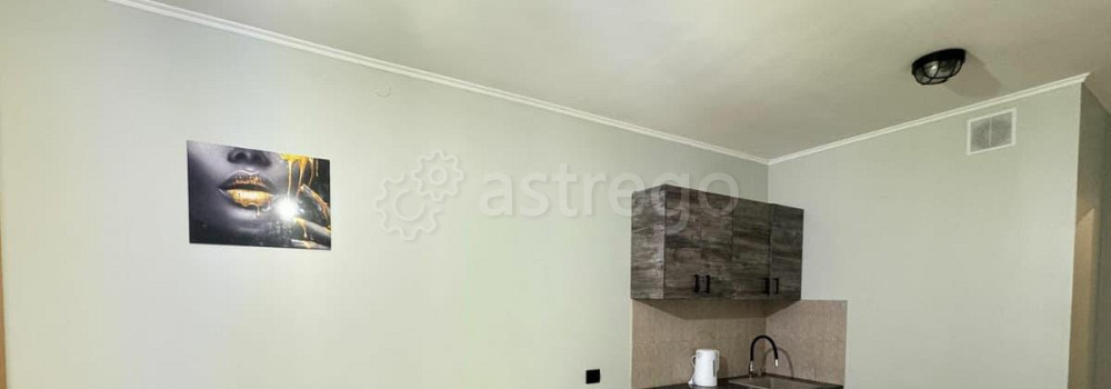 Студия, 26 м2, 19/27 эт. Красноярск - изображение 3