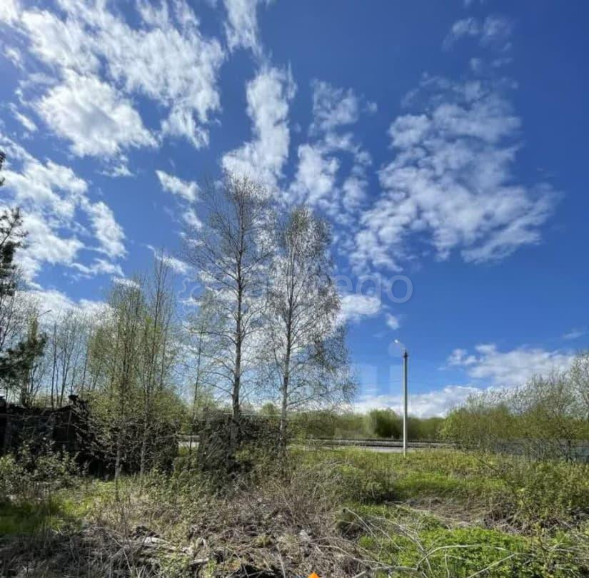 Земельный участок, 9.64 га Котлас - изображение 7