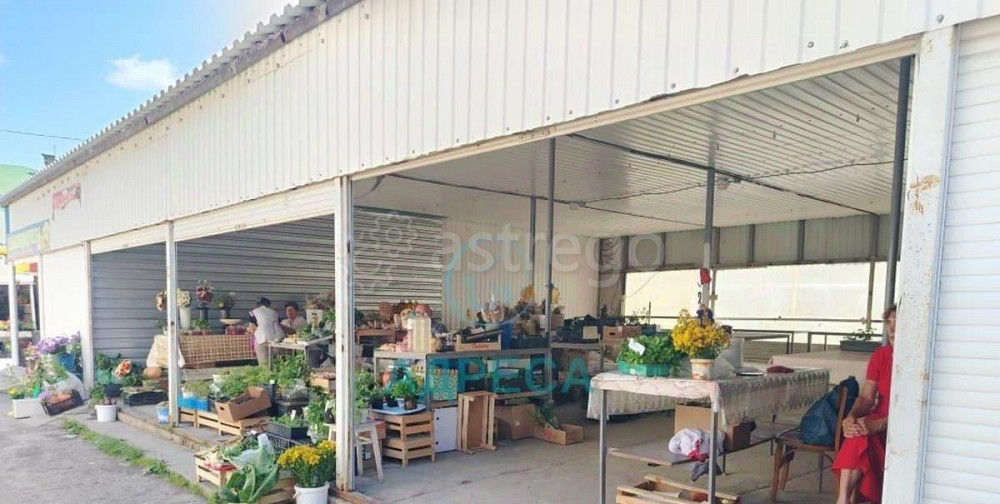 Торговое помещение, 191 м2 Новый Оскол - изображение 4