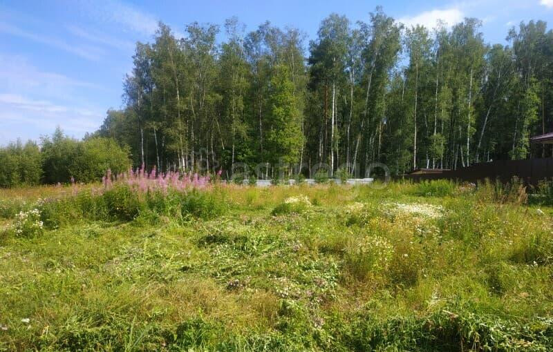 Земля с/х назначения, 17.59 сотки Чехов - изображение 8