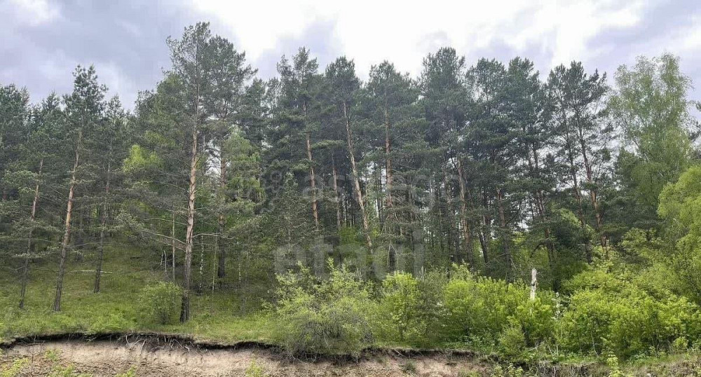 Земельный участок, 33.8 га Красноярск - изображение 6