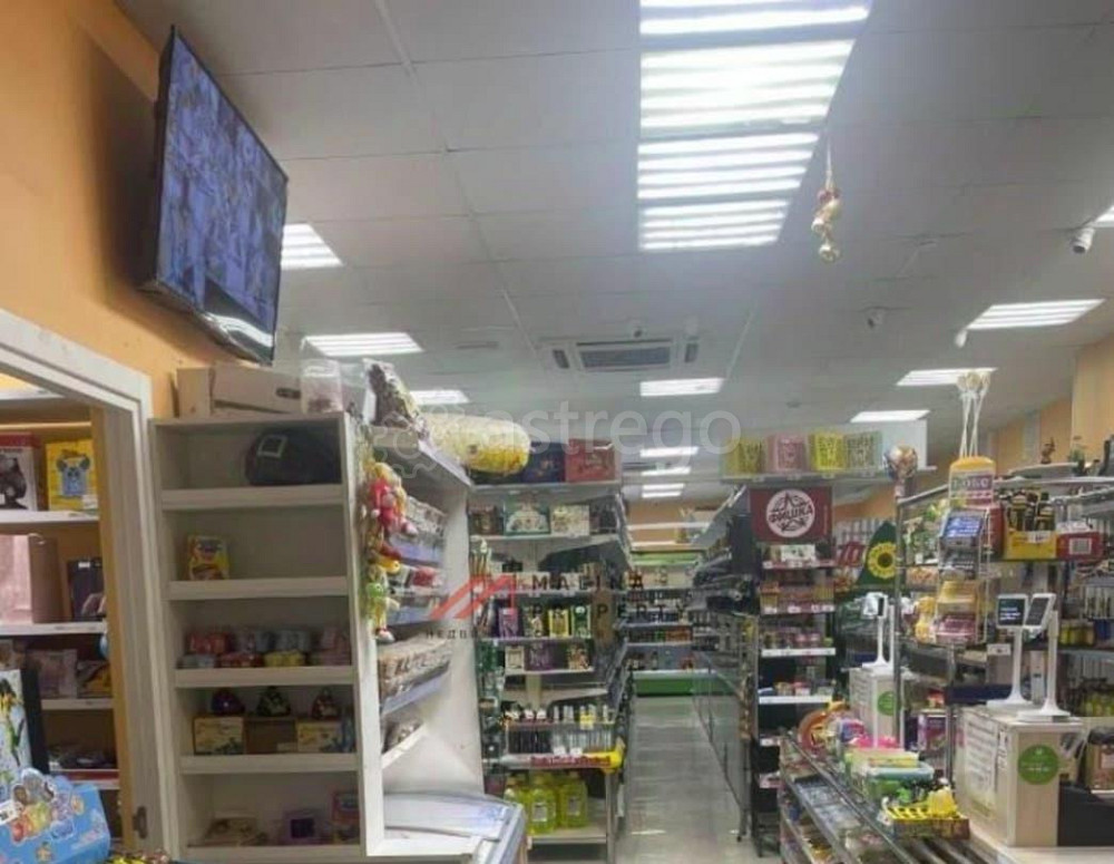 Торговое помещение, 230 м2 Мытищи - изображение 7