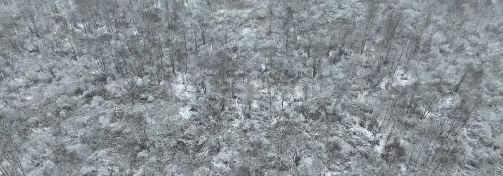 Земельный участок, 6 соток Шатура - изображение 1