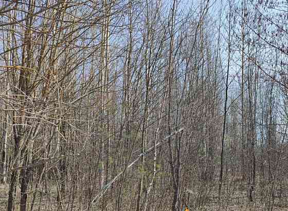 Земельный участок, 16.72 сотки Электрогорск