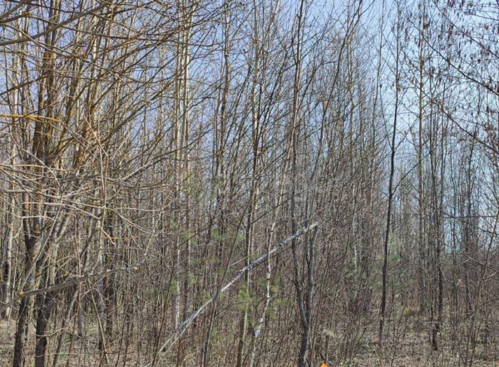 Земельный участок, 16.72 сотки Электрогорск - изображение 1