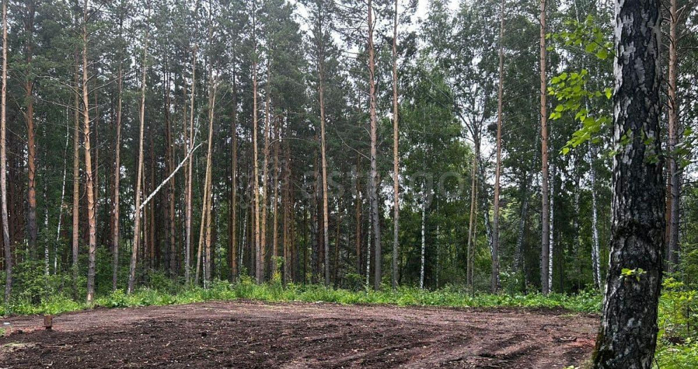 Земельный участок, 20 соток Березовка - изображение 7