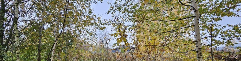 Коммерческий участок, 12.27 сотки Луховицы - изображение 1