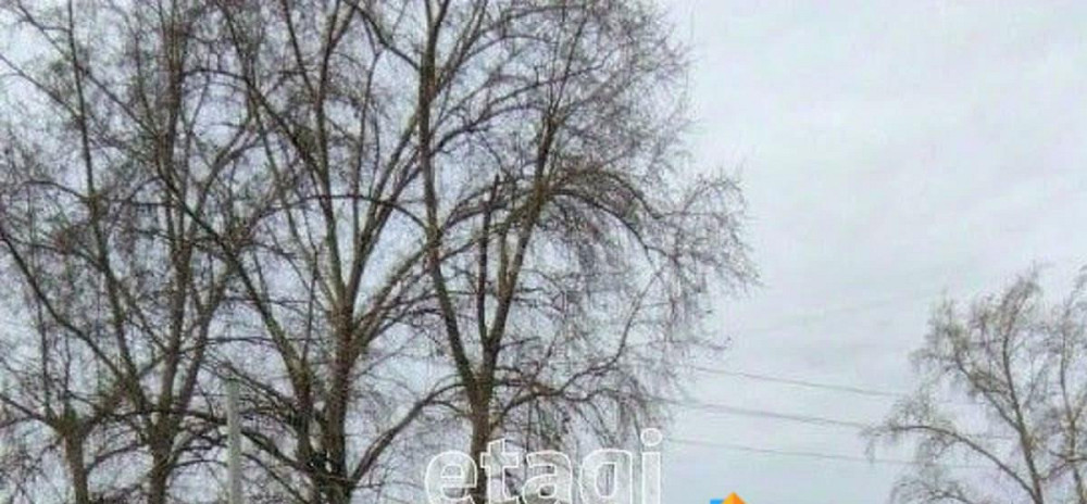 Торговое помещение, 1163 м2 Котлас - изображение 4