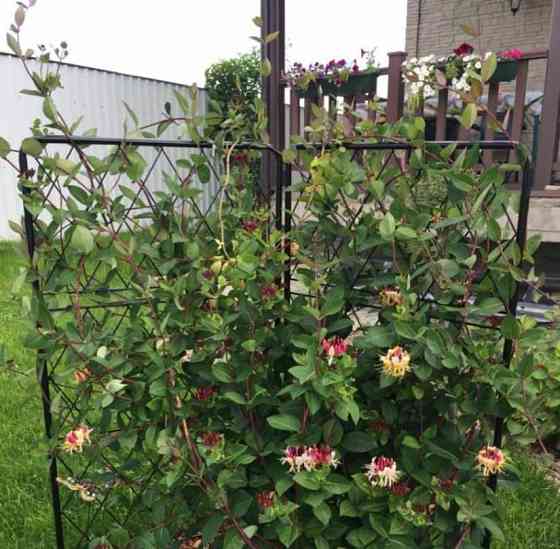 Дом, 405 м2, 15 соток, 3 эт. Волоколамск