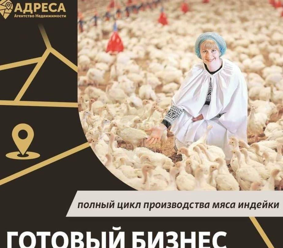 Торговое помещение, 3200 м2 Старый Оскол - изображение 2