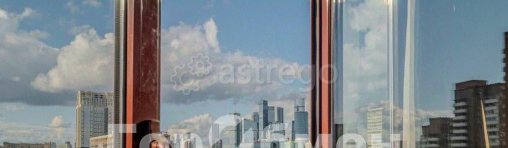 5-комн. квартира, 220 м2, 10/17 эт. Москва - изображение 5