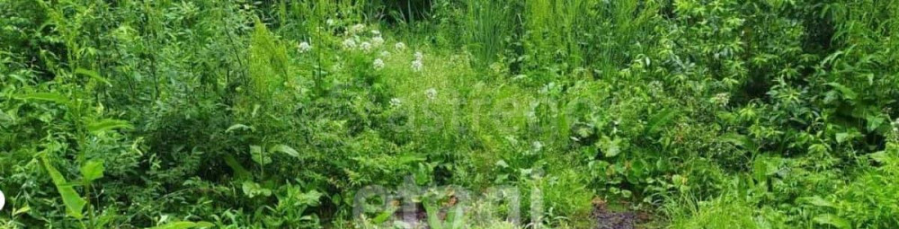 Земельный участок, 5.98 сотки Благовещенск - изображение 6