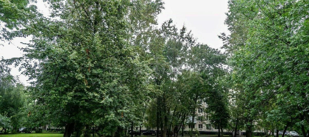 3-комн. квартира, 55.6 м2, 3/5 эт. Санкт-Петербург - изображение 4