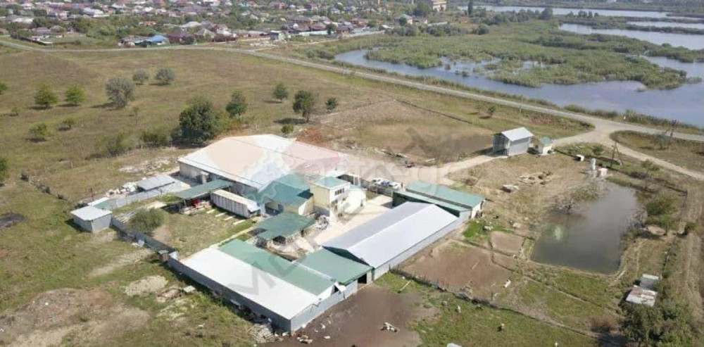 Производственное, 1000 м, 3 га Энем - изображение 1