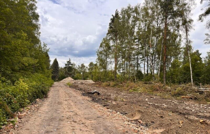 Земля промышленного назначения, 0.66 га Раменское - изображение 3