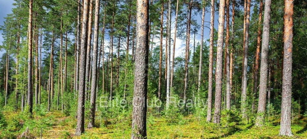 Земельный участок, 20 соток Санкт-Петербург - изображение 2