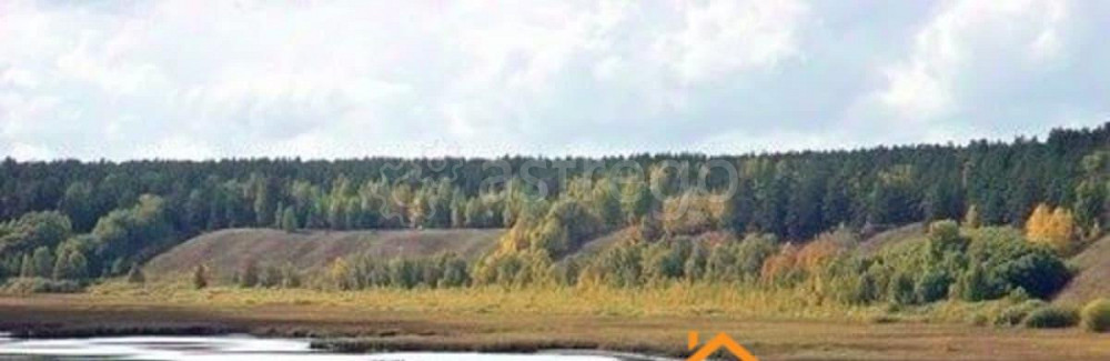 Коммерческий участок, 1.44 га Камень-на-Оби - изображение 4