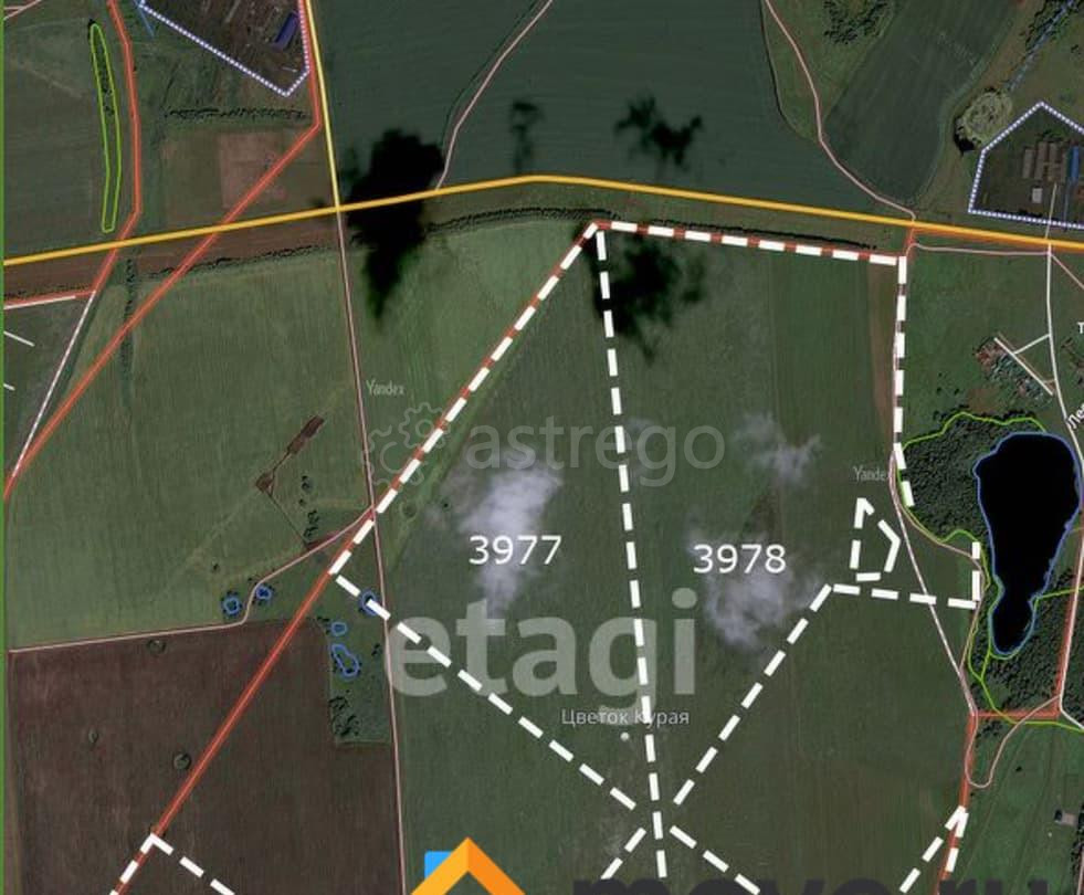 Земельный участок, 17.38 га Кармаскалы - изображение 4