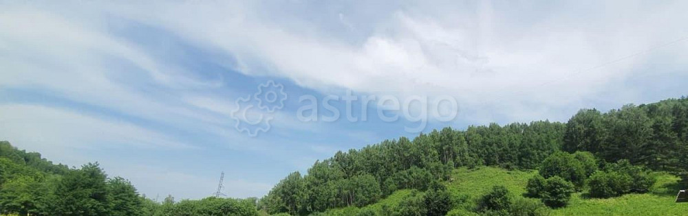 Земельный участок, 0.53 га Алтайское - изображение 6