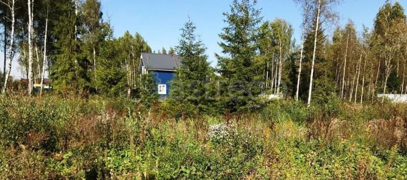 Земля с/х назначения, 7.5 сотки Солнечногорск - изображение 7