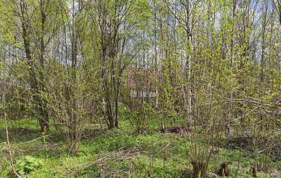 Земельный участок, 10 соток Волоколамск