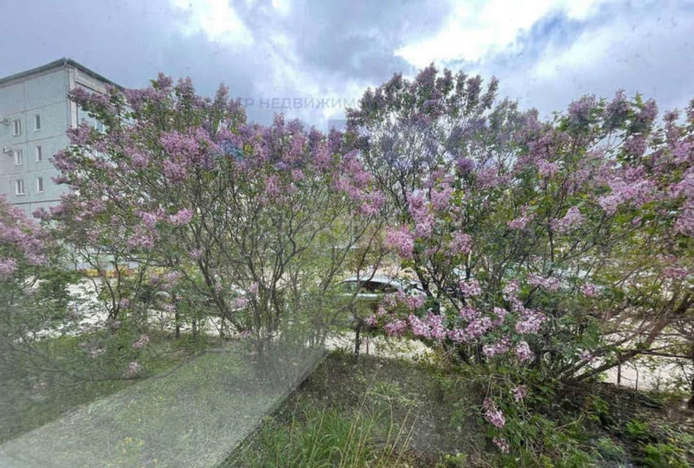 3-комн. квартира, 80.6 м2, 1/5 эт. Благовещенск - изображение 8