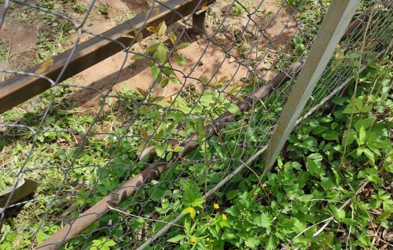 Земельный участок, 10 соток Волоколамск - изображение 3