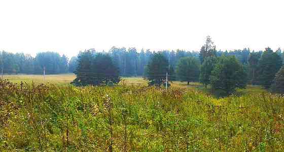 Земельный участок, 20 соток Шаховская