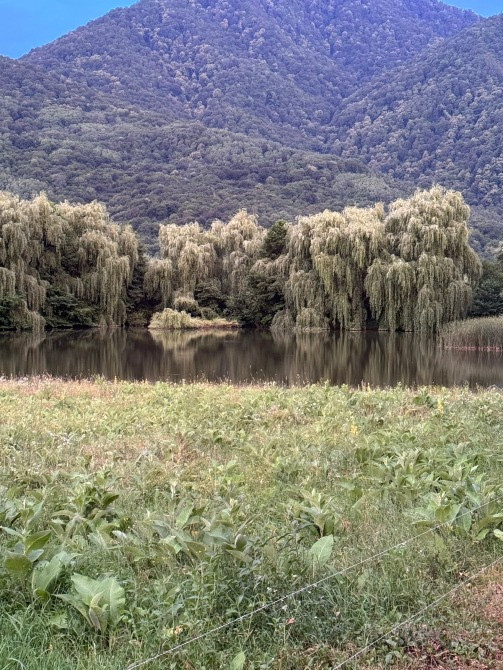 Участок, ИЖС, 140 сот. Майкоп - изображение 1