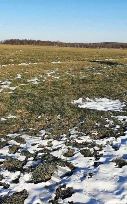Земельный участок, 1.56 га Белгород - изображение 1