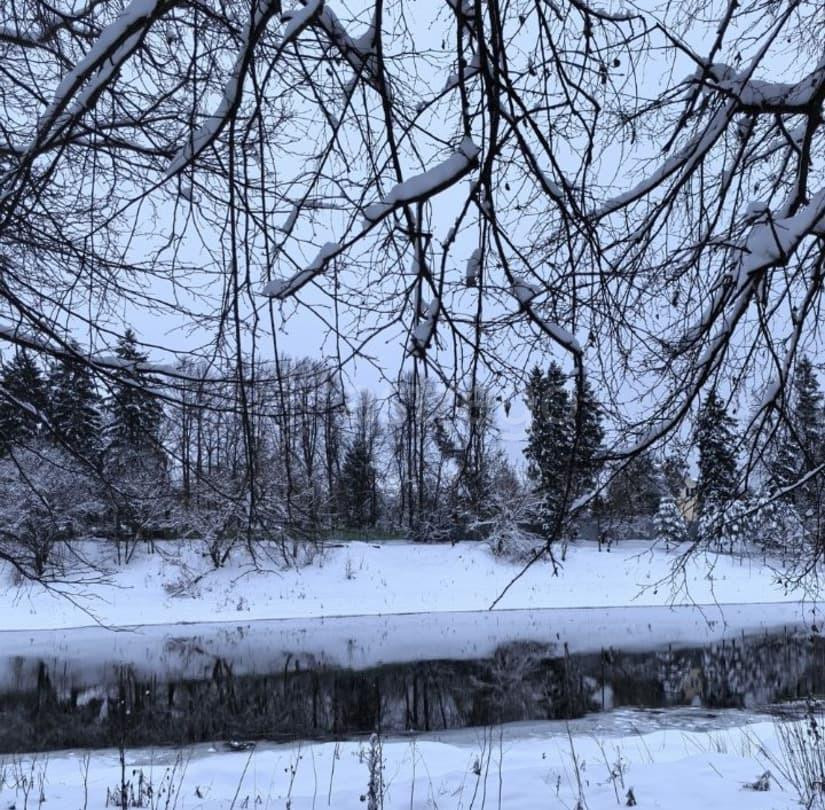 Дом, 250 м2, 6 соток, 2 эт. Руза - изображение 4