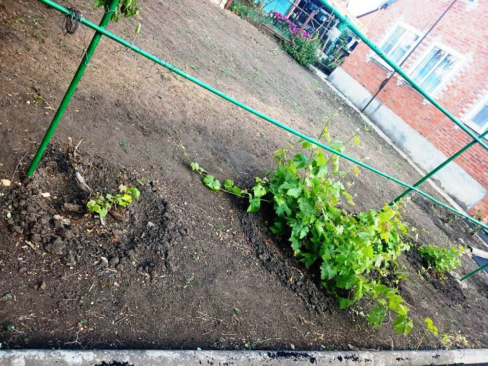 Продам коттедж,  72 м2,  ИЖС участок 6 сот. Миллерово - изображение 8