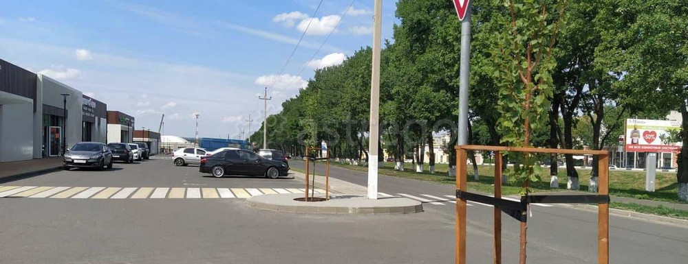 Земельный участок, 1.47 га Разумное - изображение 10