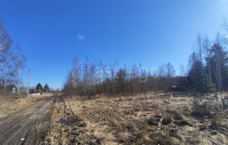 Земля под ИЖС, 16 соток Шатура - изображение 3