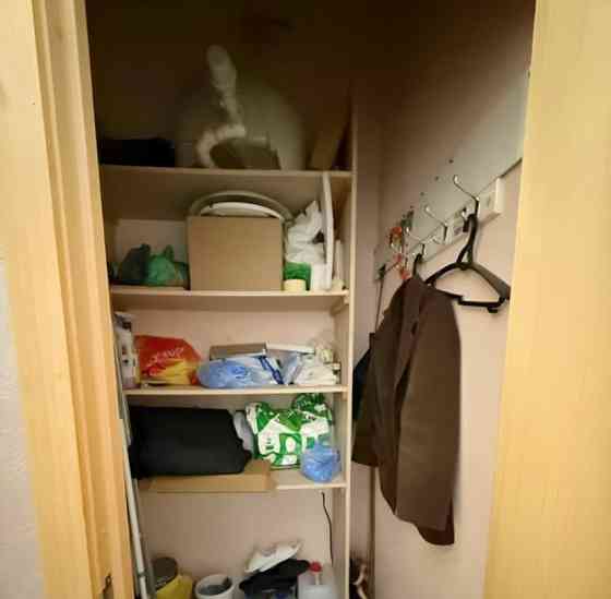 Свободного назначения, 59 м2 Санкт-Петербург