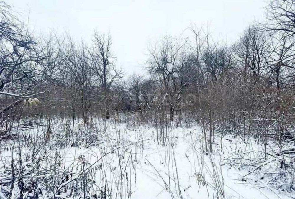 Дача, 25 м2, 4.5 сотки Стрелецкое - изображение 10