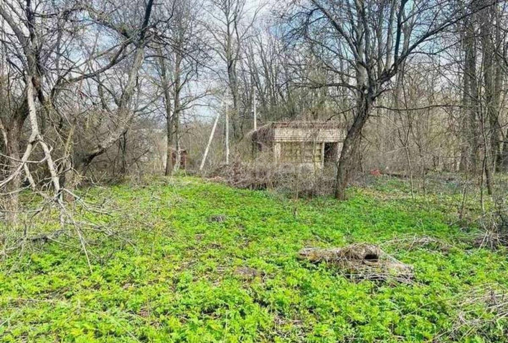 Дача, 24.97 м2, 4.5 сотки Стрелецкое - изображение 3