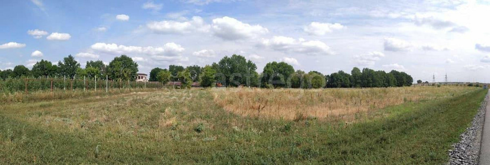 Земельный участок, 1.47 га Разумное - изображение 6