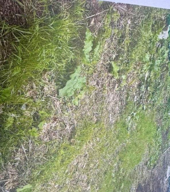 Коммерческий участок, 8.59 сотки Кармаскалы - изображение 1