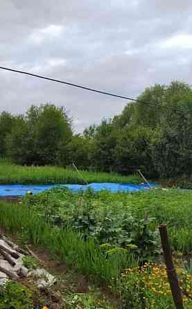 Дом, 54 м2, 15 соток, 1 эт. Райчихинск